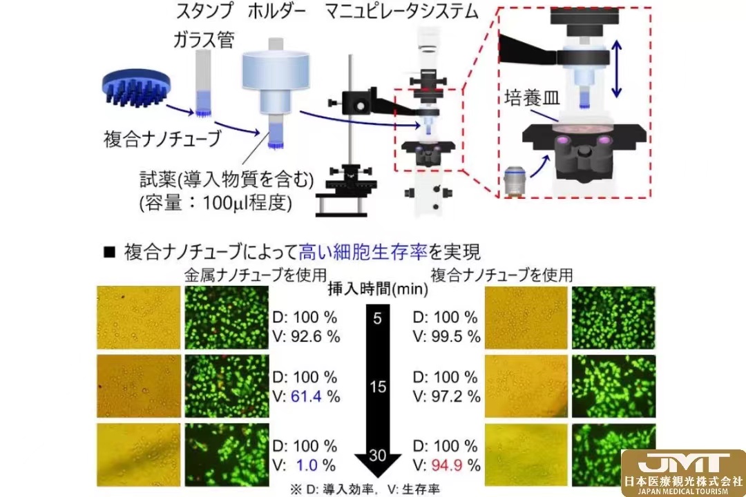 JMT日本医疗——日本早稻田大学等通过改良细胞用注射技术，将30分钟后的细胞存活率提高到95%②
