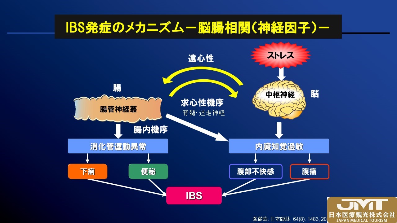 JMT日本医疗——腹泻和便秘的肠易激综合征-对学业和工作有负面影响