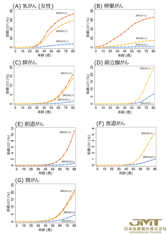日本癌症治疗——东亚常见的3个癌种的基因组医疗的可能性，以10万余人为对象的BRCA1/2基因的14个癌种进行横断分析③