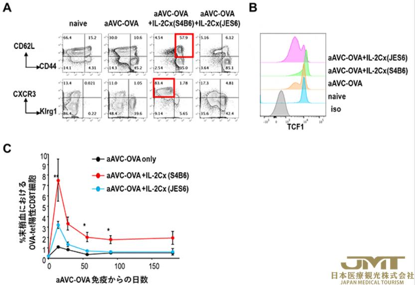 JMT日本医疗——开发aAVC疫苗和IL-2的联合疗法，期待提高进展期癌患者的生存率③